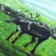 Картина 2D «Пастух», тактильная купить за 4 796 ₽, с доставкой по РФ. Федеральный дистрибьютор